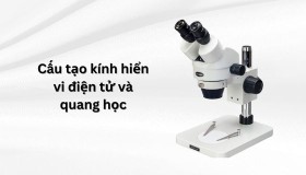 Cấu tạo kính hiển vi điện tử và quang học