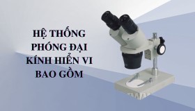Hệ thống phóng đại của kính hiển vi gồm những gì