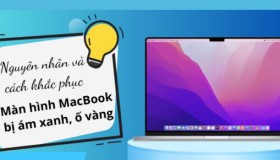6 cách đơn giản khắc phục lỗi màn hình MacBook bị ám xanh