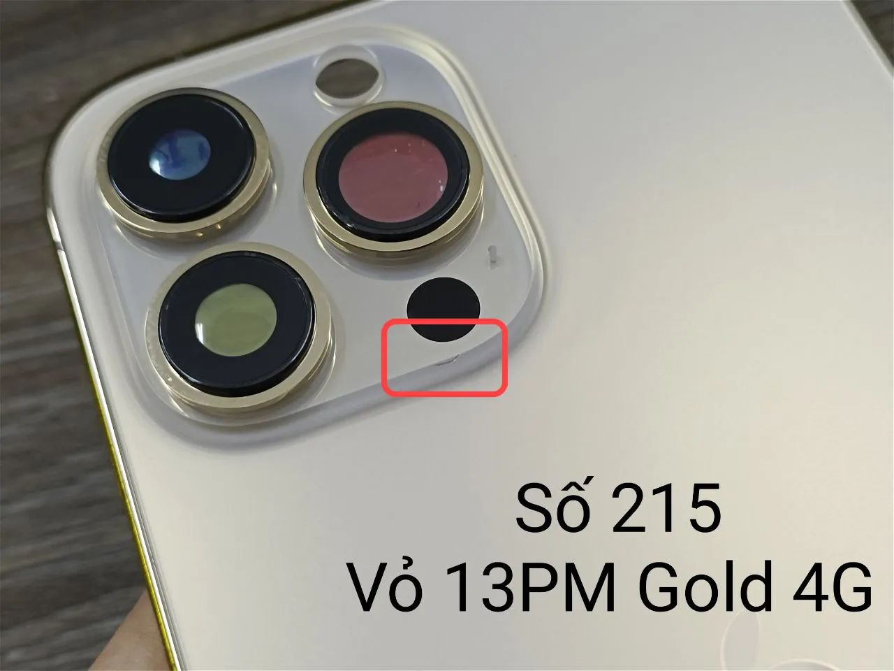 Bộ vỏ iPhone 13 Pro Max gold (số 215)