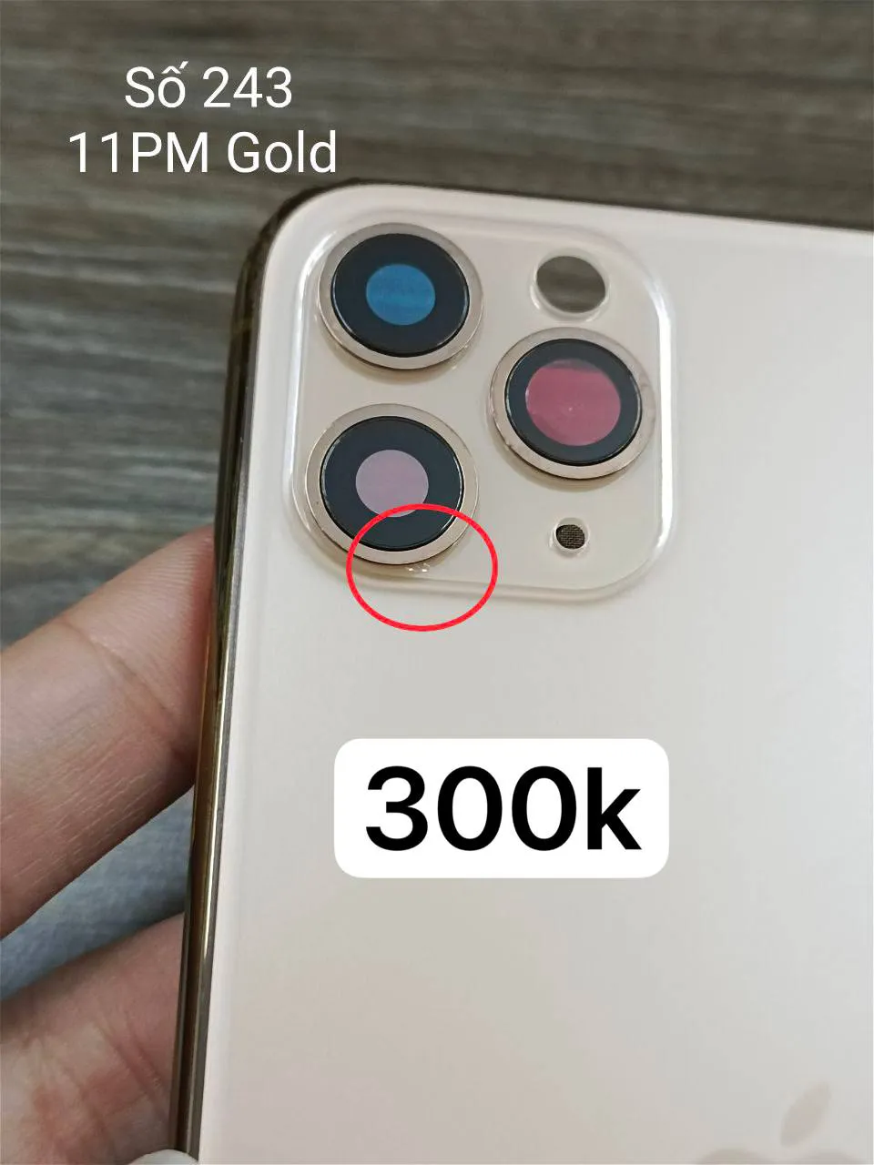 Bộ vỏ 11 Pro Max - số 243