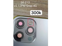 Bộ vỏ iPhone 12 Pro Max(4G) - số 213