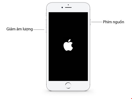 iPhone-6s-plus-tu-sang-man-hinh