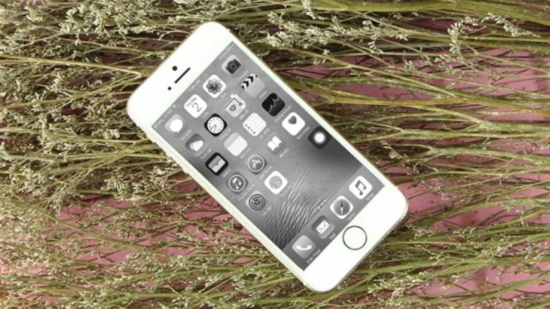 iPhone 7 bị màn hình trắng đen 1