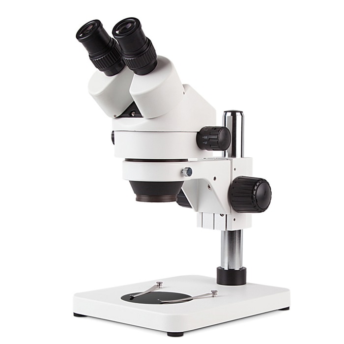  Soi kính hiển vi có hại mắt không?
